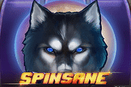 SPINSANE Logo
