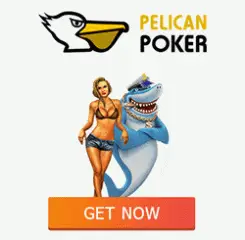 Pelican Casino Banner 250x250
