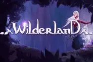 Wilderland Video Slot Banner - freespinscasino.org