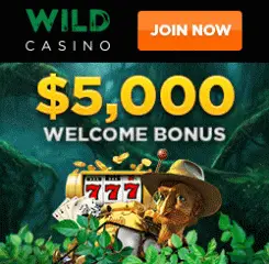 Wild Casino Banner - 250x250