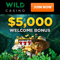 Wild Casino Banner - 250x250