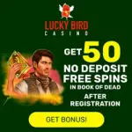 LuckyBird Casino Banner - 250x250