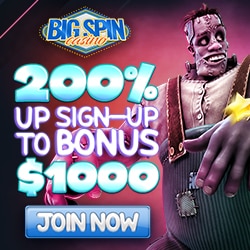 BigSpin Casino Banner - 250x250