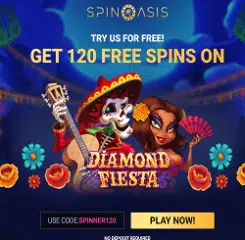 Spinoasis Casino Banner - 250x250