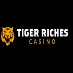 Tiger Riches Casino Banner - 250x250