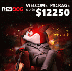 RedDog Casino Banner - 250x250