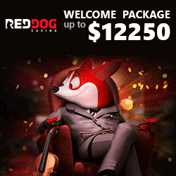 Red Dog Casino Bonus And Review