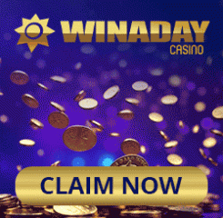 WinaDay Casino Banner - 250x250