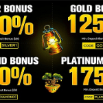 slotsvilla-vip_package
