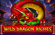 Wild Dragon Riches Video Slot