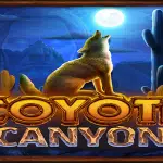 Coyote Canyon Video Slot Rival Powered