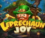 Leprechaun Joy Video Slot Banner - freespinscasino.org